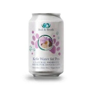 Waterkefir | Boil & Broth Best Sale