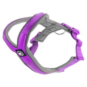 - Ramsey Range Slip On Harness Purple & Metal Grey | BullyBillows Discount