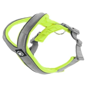 - Ramsey Range Slip On Harness Metal Grey & Neon | BullyBillows Cheap