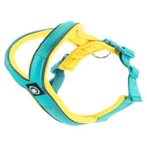 - Ramsey Range Slip On Harness Turquoise & Yellow | BullyBillows Outlet