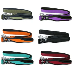 Nylon Snap Hook Dog Lead | BullyBillows Cheap