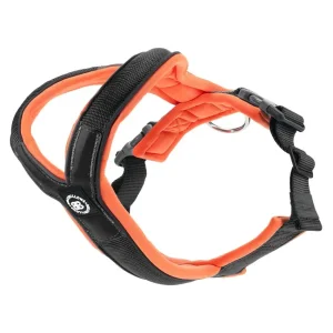 - Ramsey Range Slip On Harness Black & Orange | BullyBillows Fashion