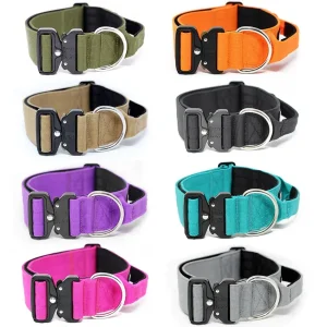 - 5Cm Combat Collar With Handle | BullyBillows Fashion