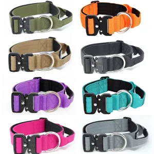 - 4Cm Combat Collar With Handle | BullyBillows New