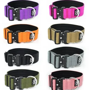 - 5Cm Combat Collar | BullyBillows Discount