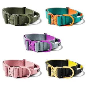 Lighter Combat Collar 5Cm | BullyBillows Best Sale