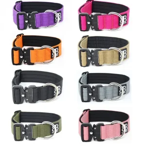 - 4Cm Combat Collar | BullyBillows Cheap