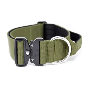 - 5Cm Combat Collar With Handle | BullyBillows Fashion