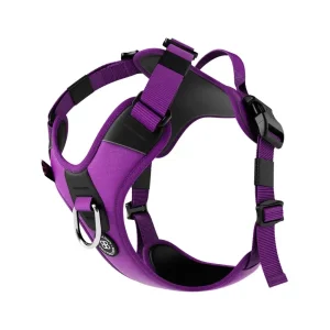 Hurricane Harness | BullyBillows Shop