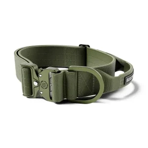 Lighter Combat Collar 5Cm | BullyBillows Best Sale