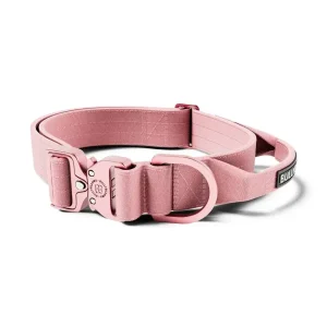 Lighter Combat Collar 4Cm | BullyBillows Clearance