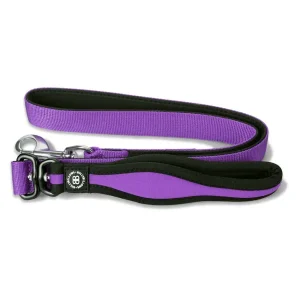 Nylon Snap Hook Dog Lead | BullyBillows Cheap