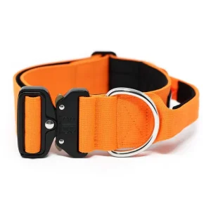 - 5Cm Combat Collar With Handle | BullyBillows Fashion