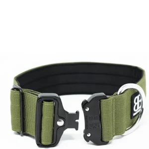 - 5Cm Combat Collar | BullyBillows Discount