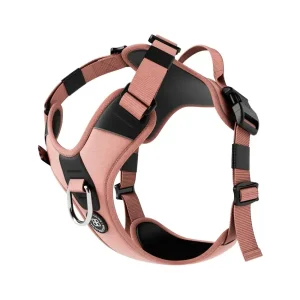 Hurricane Harness | BullyBillows Shop