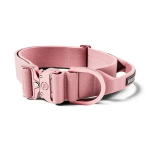 Lighter Combat Collar 5Cm | BullyBillows Best Sale