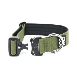 - 4Cm Combat Collar | BullyBillows Cheap