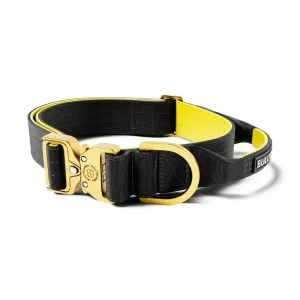 Lighter Combat Collar 4Cm | BullyBillows Clearance