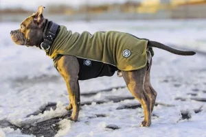 Honden Fleece Trui Met Rits | BullyBillows Clearance