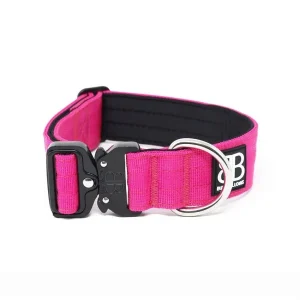 - 4Cm Combat Collar | BullyBillows Cheap