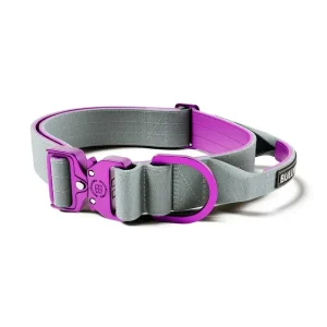 Lighter Combat Collar 4Cm | BullyBillows Clearance