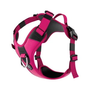 Hurricane Harness | BullyBillows Shop