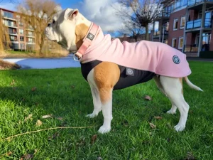 Honden Fleece Trui Met Rits | BullyBillows Clearance