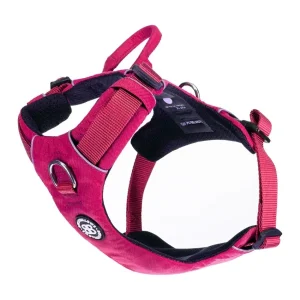 Lightweight Mesh Air Harness | BullyBillows Clearance