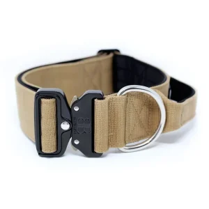 - 5Cm Combat Collar With Handle | BullyBillows Fashion