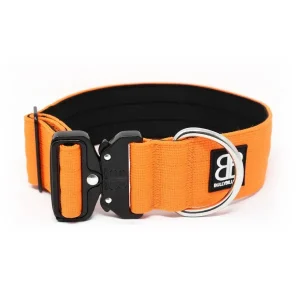 - 5Cm Combat Collar | BullyBillows Discount