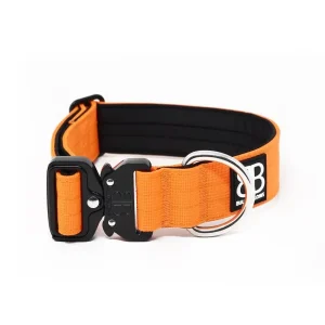 - 4Cm Combat Collar | BullyBillows Cheap