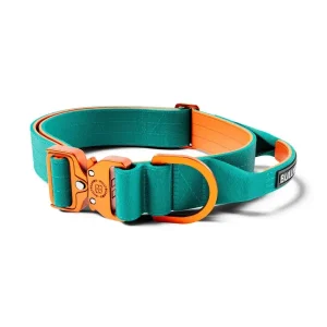 Lighter Combat Collar 4Cm | BullyBillows Clearance