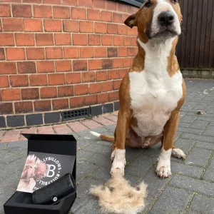 Complete Animal Deshedding Kit - Pink | BullyBillows Shop