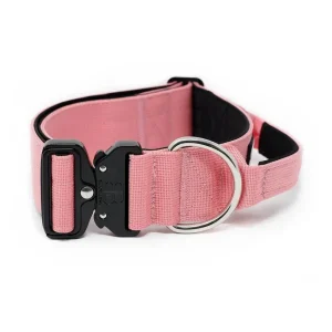 - 5Cm Combat Collar With Handle | BullyBillows Fashion