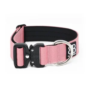 - 4Cm Combat Collar | BullyBillows Cheap