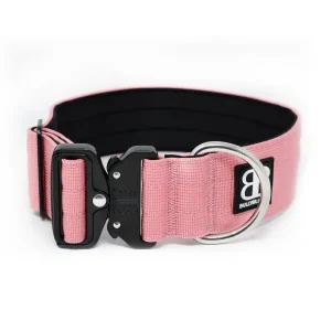 - 5Cm Combat Collar | BullyBillows Discount