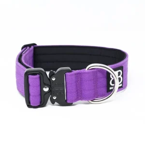 - 4Cm Combat Collar | BullyBillows Cheap