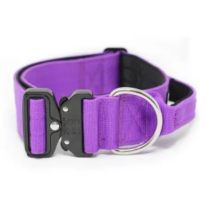 - 5Cm Combat Collar With Handle | BullyBillows Fashion