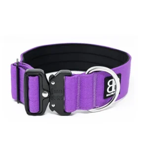 - 5Cm Combat Collar | BullyBillows Discount