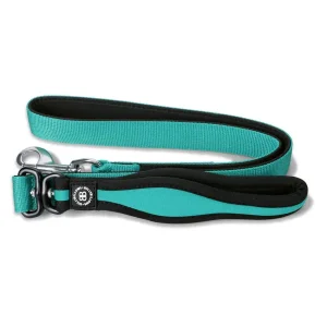 Nylon Snap Hook Dog Lead | BullyBillows Cheap