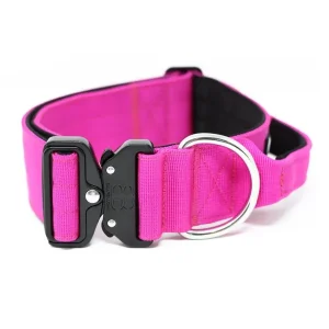 - 5Cm Combat Collar With Handle | BullyBillows Fashion