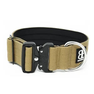 - 5Cm Combat Collar | BullyBillows Discount