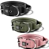 5Cm Pin Buckle Collar With Handle & Robust Hardware | BullyBillows Best Sale