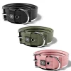 5Cm Pin Buckle Collar No Handle & Robust Hardware | BullyBillows Shop