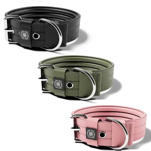 5Cm Pin Buckle Collar No Handle & Robust Hardware | BullyBillows Shop