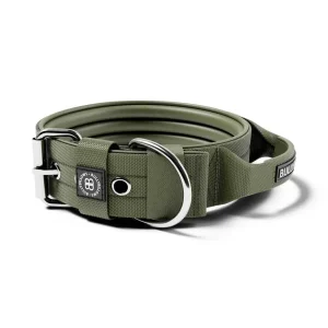 5Cm Pin Buckle Collar With Handle & Robust Hardware | BullyBillows Best Sale