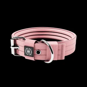 4Cm Pin Buckle Collar No Handle & Robust Hardware | BullyBillows Hot