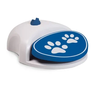 Splash Water Fountain | Coolpets Outlet