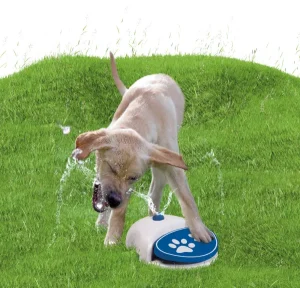 Splash Water Fountain | Coolpets Outlet