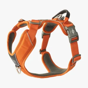 Comfort Walk Pro 3.0 Harness Nieuw | Dog Copenhagen Cheap